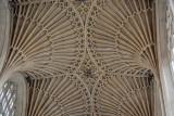 DSC_0200.JPG