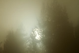 090_IMG_2168.JPG