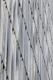081_Tokyo_F66F4439.JPG