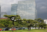 106_Tokyo_Q20C3437.JPG