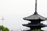 144_Kyoto_F66F5282.JPG