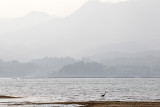 107_Hiroshima_F66F5940.JPG