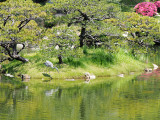 122_Hiroshima_P5310807.JPG
