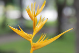 040F66F0576.JPG