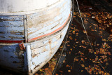 300_WGW_Nov2015_1E9A0853.JPG