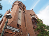 153_OM520993.JPG