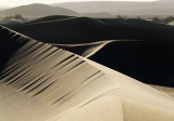 C_W8_Dunes_R3_P_E47I2033.jpg