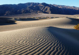 C_W8_Dunes_R6_P_OMD10112.jpg