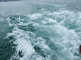 393_OMD10845.JPG