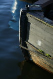 gone_fishing2013_012.JPG