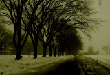 Avenue Wilfrid-Laurier Québec