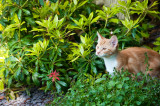 DSC_6927.jpg