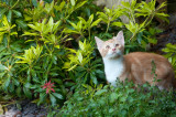 DSC_6929.jpg