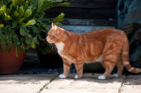 DSC_5384.jpg