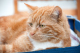 DSC_8331.jpg