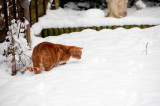 DSC_8461.jpg