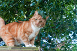DSC_9051.jpg