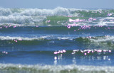 Waves at Long Beach