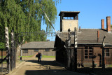 IMG_4175.JPG