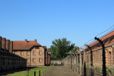 IMG_4178.JPG