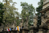 IMG_4423.JPG