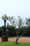 IMG_8239.JPG