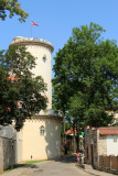 Cesis