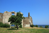 Toolse