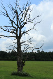 Saaremaa 