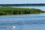 Saaremaa / Muhu