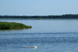 Saaremaa / Muhu