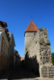 IMG_6536.JPG