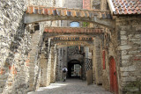 IMG_6567.JPG