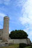 IMG_6656.JPG