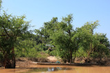 Along the Mekong