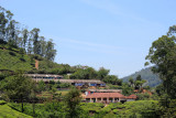 IMG_0786.JPG