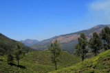 IMG_0868.JPG