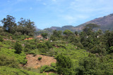 IMG_0949.JPG