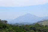 IMG_0956.JPG