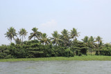 IMG_1349.JPG