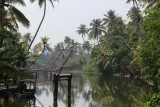 IMG_1460.JPG