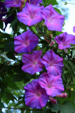 IMG_0691.JPG