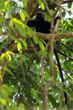 IMG_1067.JPG