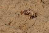 IMG_1458.JPG