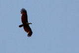 IMG_1467.JPG
