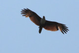 IMG_1470.JPG