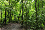 Parque Nacional Volcan Arenal