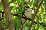Parque Nacional Rincon de la Vieja
