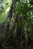 Parque Nacional Rincon de la Vieja