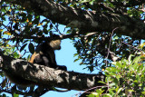 Parque Nacional Rincon de la Vieja